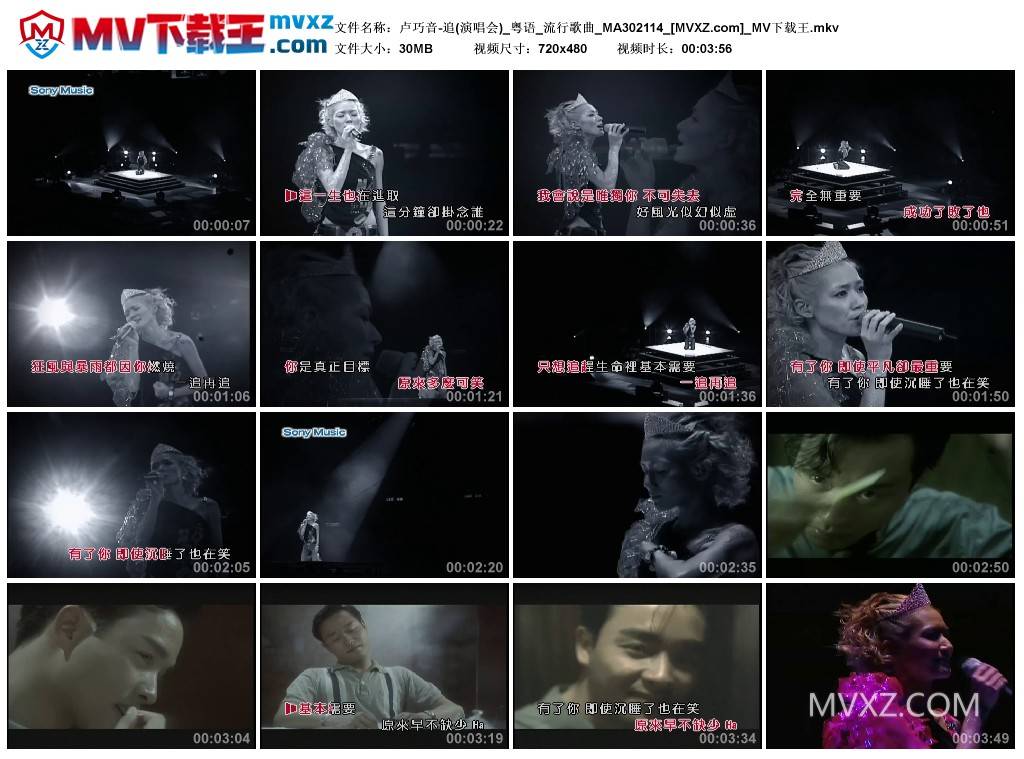 卢巧音-追(演唱会)_粤语_流行歌曲_MA302114